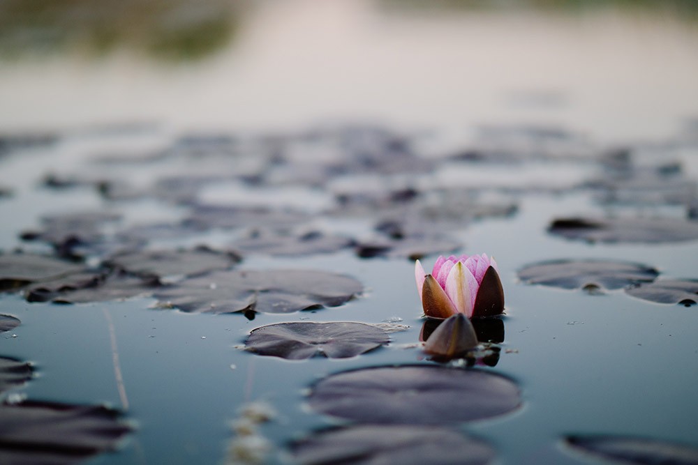 Lorem ipsum dolor sit amet, consectetur adipiscing elit